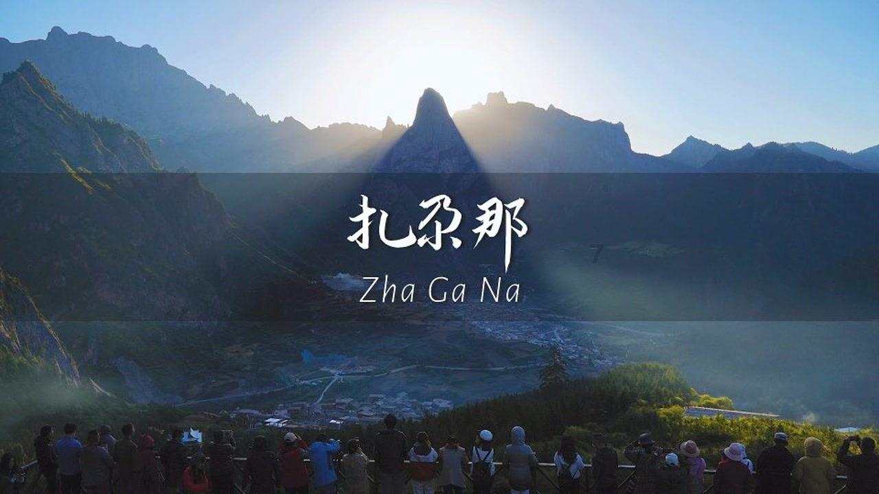 怎样给橡皮树扦插呢？