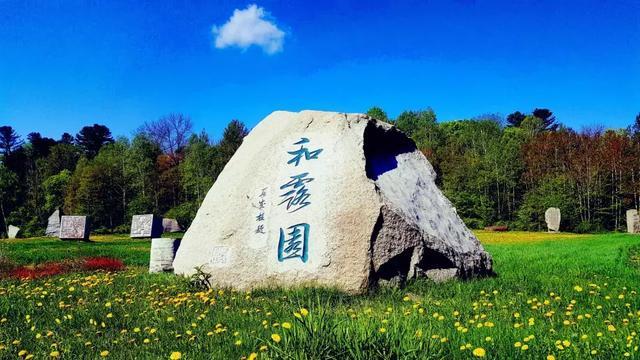 春雨直播app