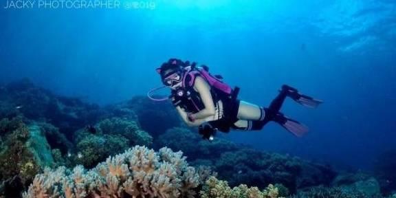 坚持人民至上 强化数字赋能 深入推动交通运输行业“高效办成一件事”