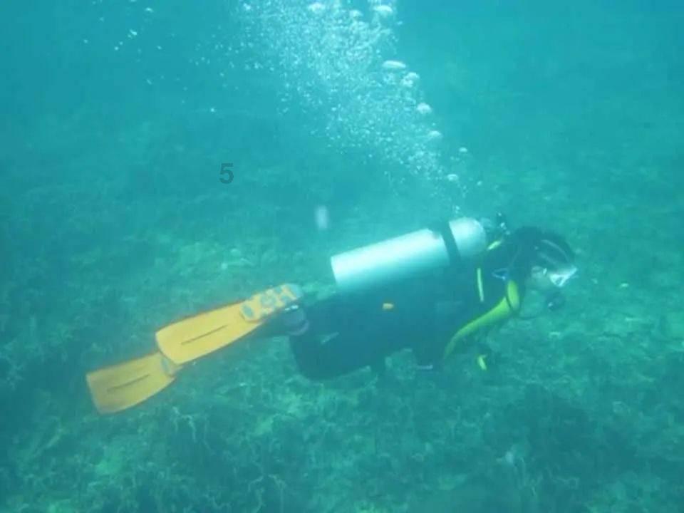 如约而至
