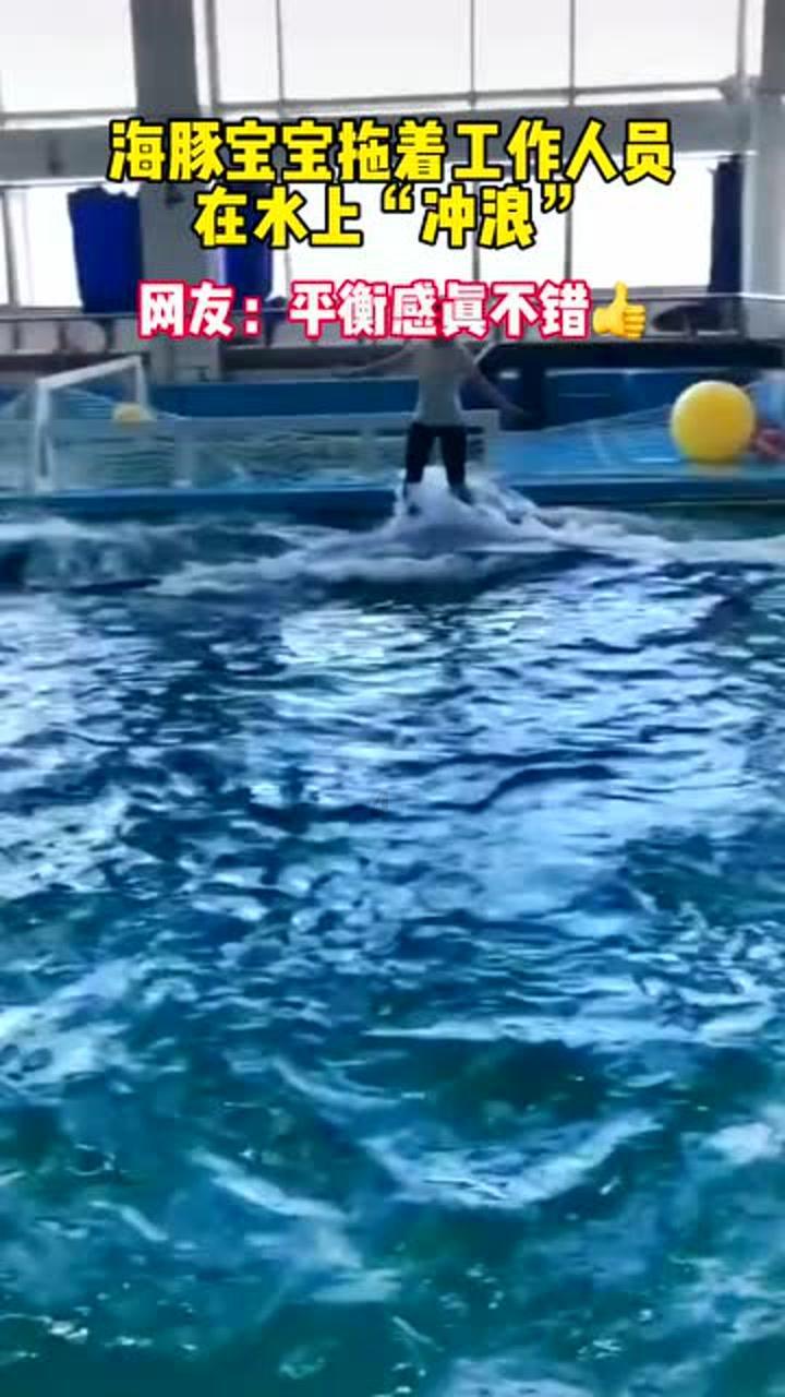 第98届新西兰卡拉卡周岁马拍卖会来啦！大陆马全程直播，马主可实时出价！