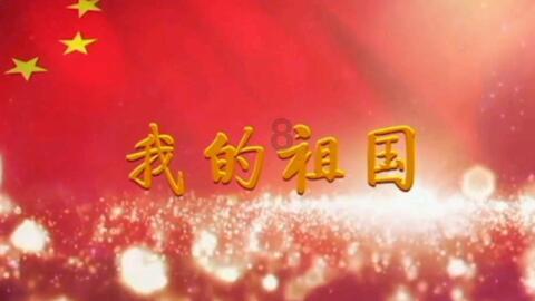 雨后盛放