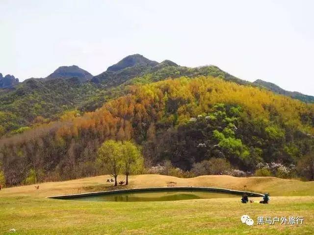富兰克林·罗斯福的第四次总统竞选简直就是在以命相博