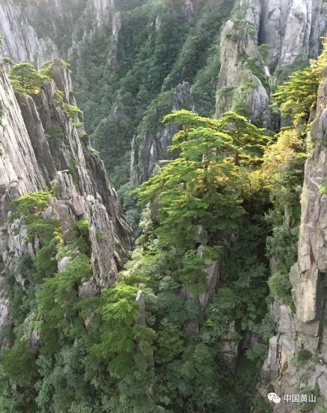 老师没收学生充电宝并损坏，违不违法，需不需要赔偿？游戏画面