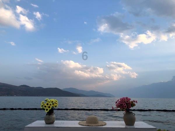 春雨直播app